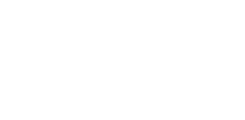 Christmas with the Singhs
