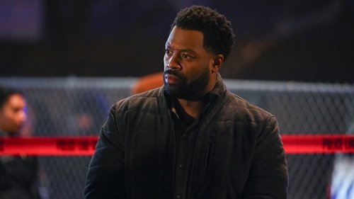 Chicago P.D.: Distrito 21: 12×13