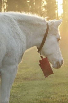 Werner from Fechenheim poster