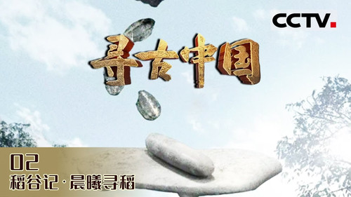 Episódio 14