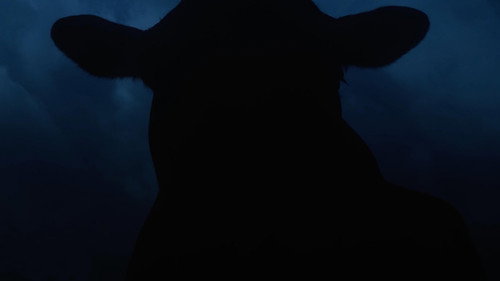 SURRENDER | The Go One More Ultra