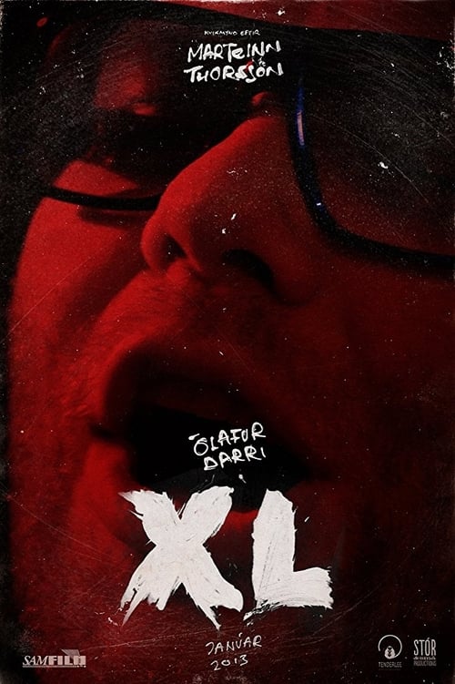 Poster XL 2013