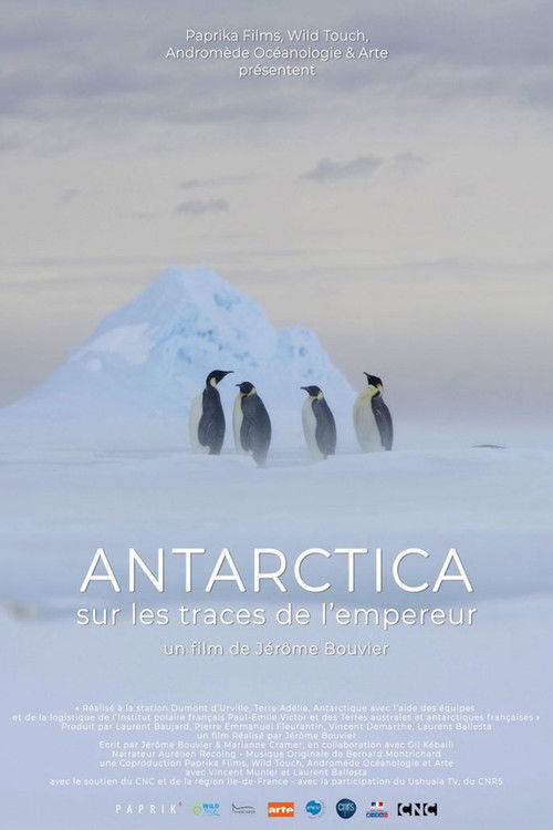 Antarctica, in the footsteps of the Emperor poster