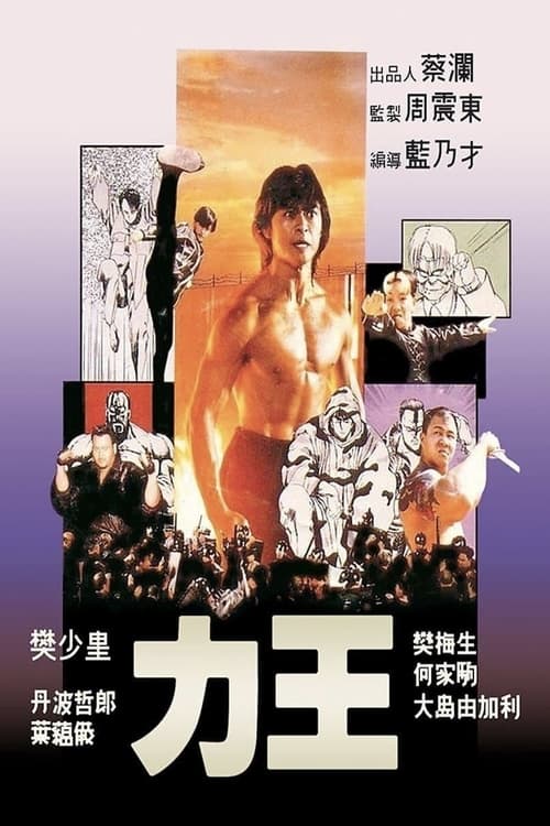 力王 (1991) poster