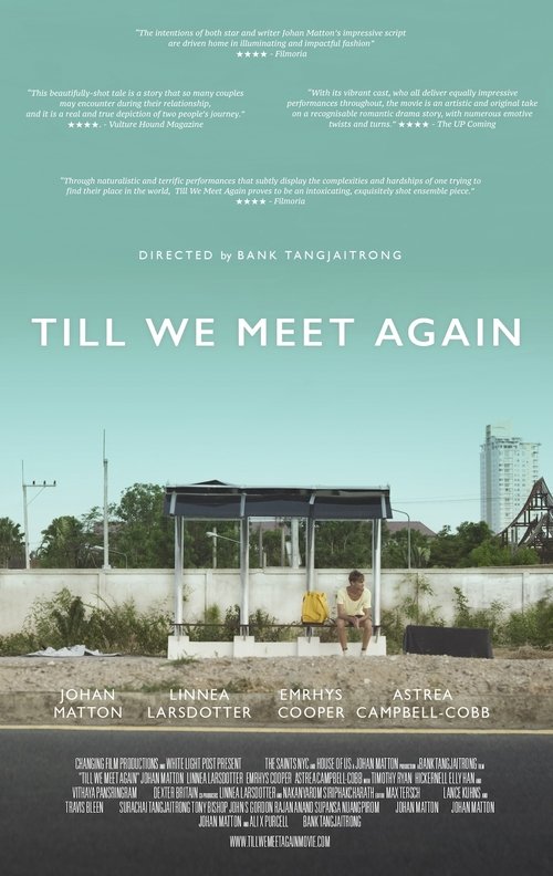 Till We Meet Again poster