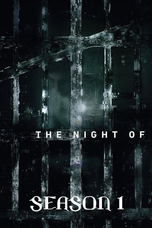 THE NIGHT OF — Saison 1