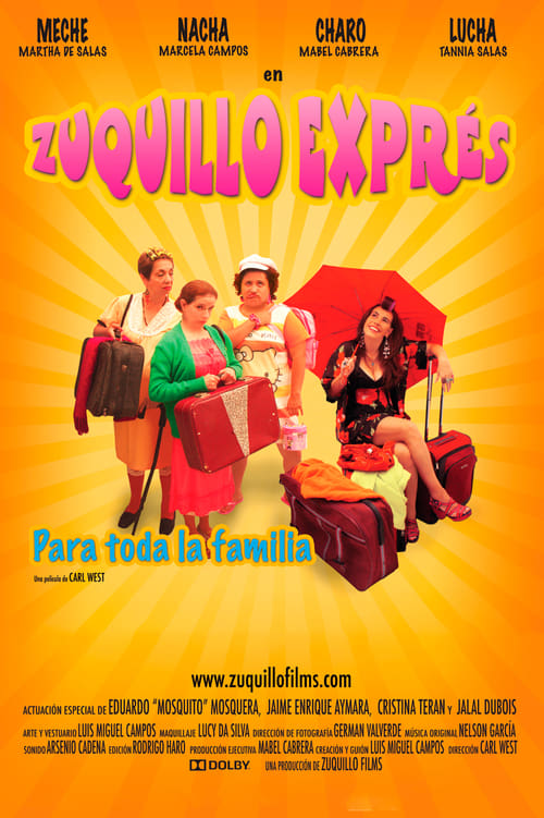 Zuquillo Exprés (2010) poster