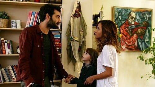 Poster della serie Poyraz Karayel