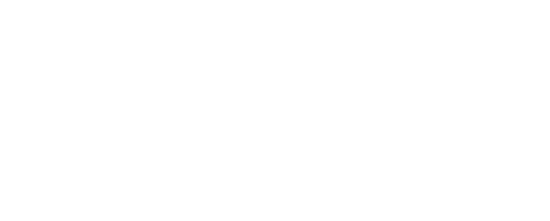 Tricky Brains