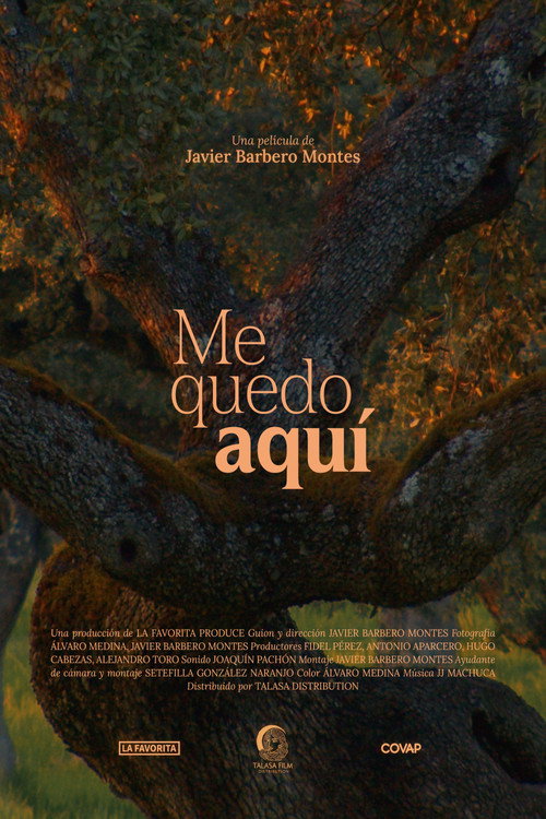 Me quedo aquí