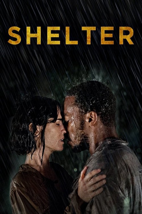 Grootschalige poster van Shelter