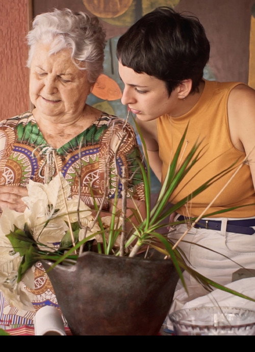 My Friends Are the Birds