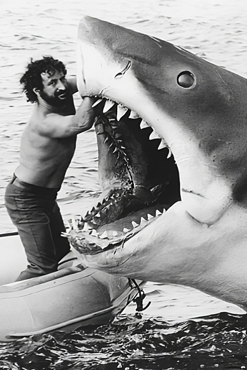 Not Your Average Joe poster