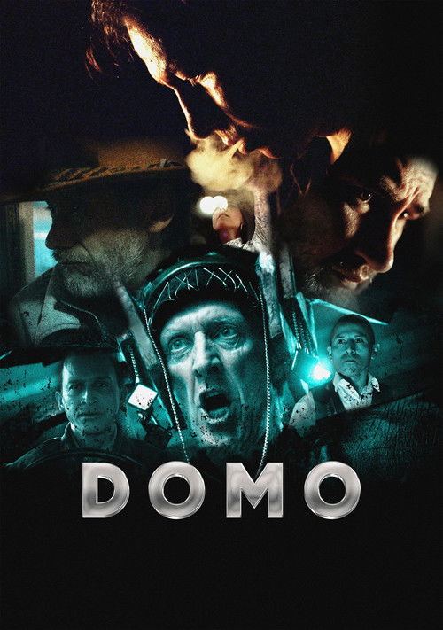 Domo poster