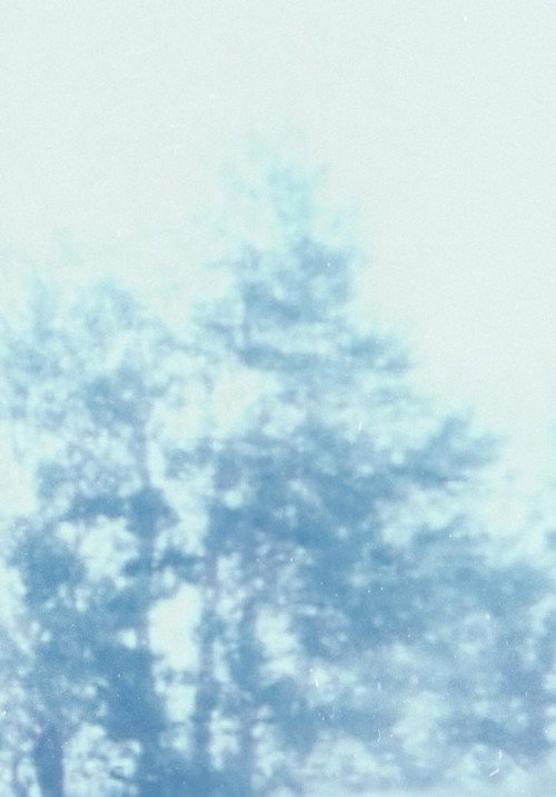 A silhouette still 2