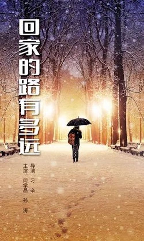 回家的路有多远 (2017)