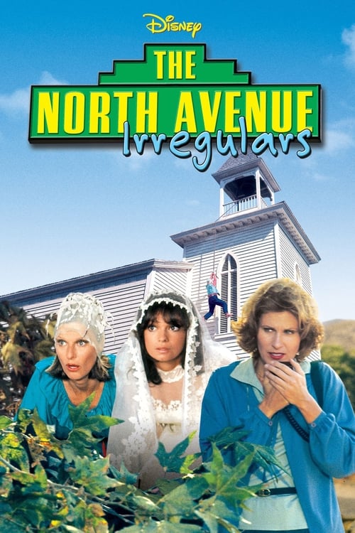 The North Avenue Irregulars Movie Poster Image