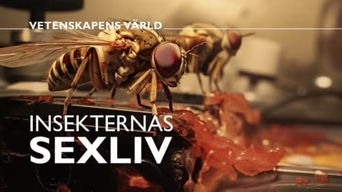 Vetenskapens värld, S2023E25 - (2023)