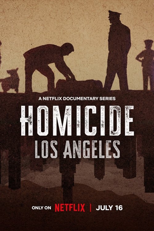Homicídio: Temporada 2