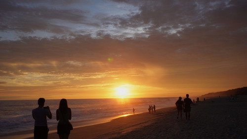 Return: Saving Turtles