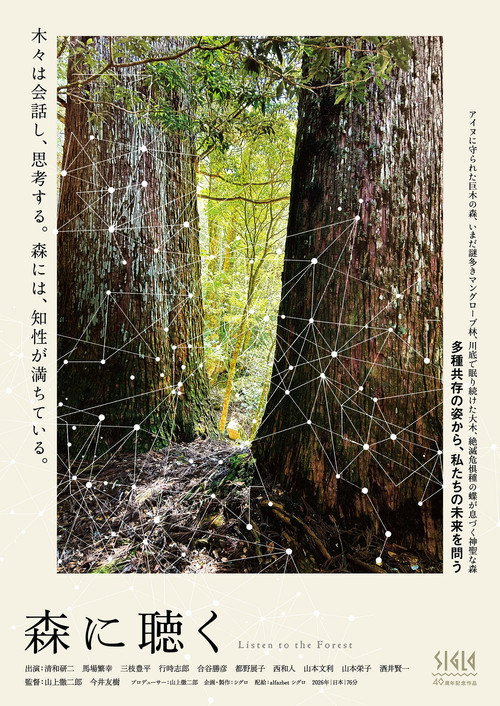 森に聴く Listen to the Forest