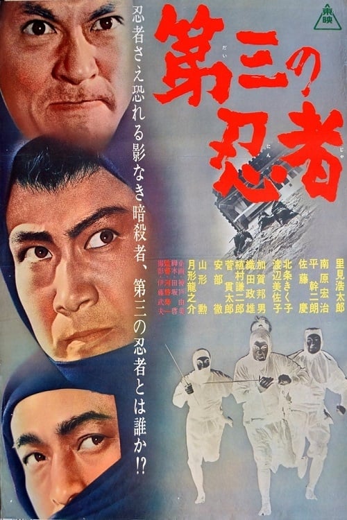 The Third Ninja Movie Poster Image