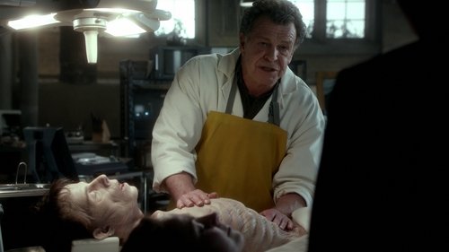 Fringe: 4×15