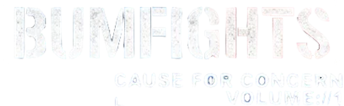 Bumfights Vol. 1: A Cause for Concern