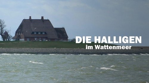 Die Halligen im Wattenmeer image 3