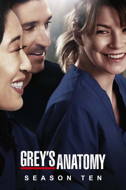 Subtitles Grey's Anatomy Season 10 in English Free Download