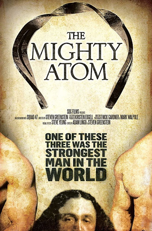 The Mighty Atom (2017) poster