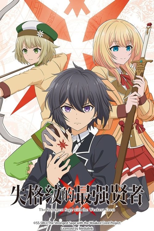 失格纹的最强贤者 海报