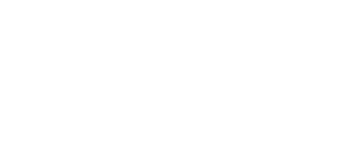 The Dictator's Playbook