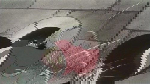 Image de l'épisode 1