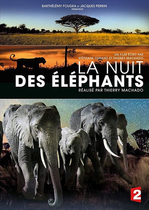 La Nuit des éléphants (2014)