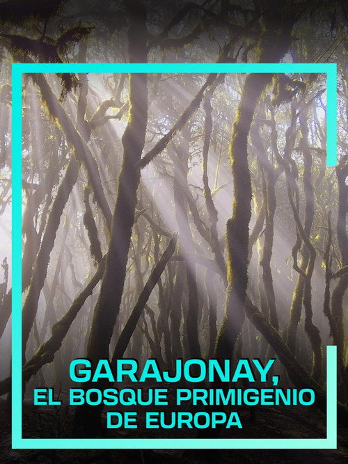 Garajonay el bosque primigenio de Europa