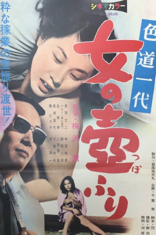 色道一代 女の壷ふり poster
