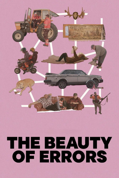 The Beauty of Errors — Kappale kauneinta Suomea