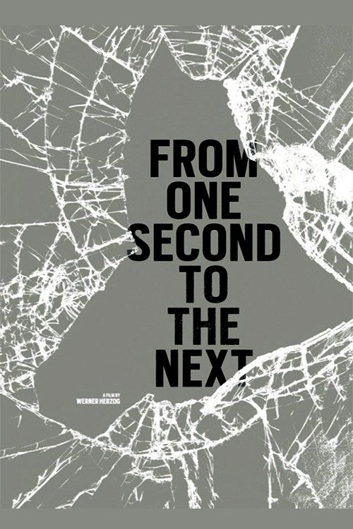 From One Second to the Next 2013