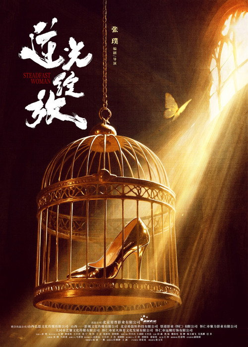 逆光绽放