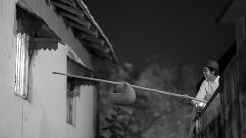 The First Film image 2