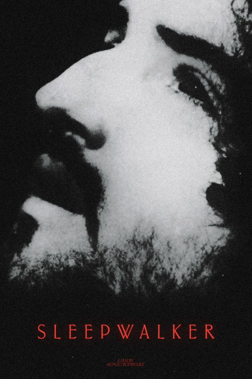 Sleepwalker poster