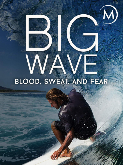 Póster oficial de Big Wave: Blood, Sweat, and Fear (2018) - Documentary