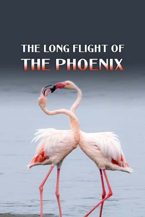The Long Flight of the Phoenix