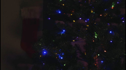 Slashing Through the Snow