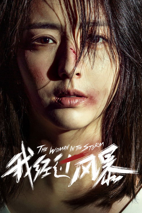 The Woman in the Storm poster