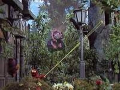 Image de l'épisode 14