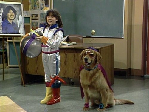 Poster della serie Punky Brewster