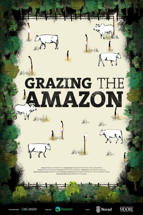 Grazing the Amazon