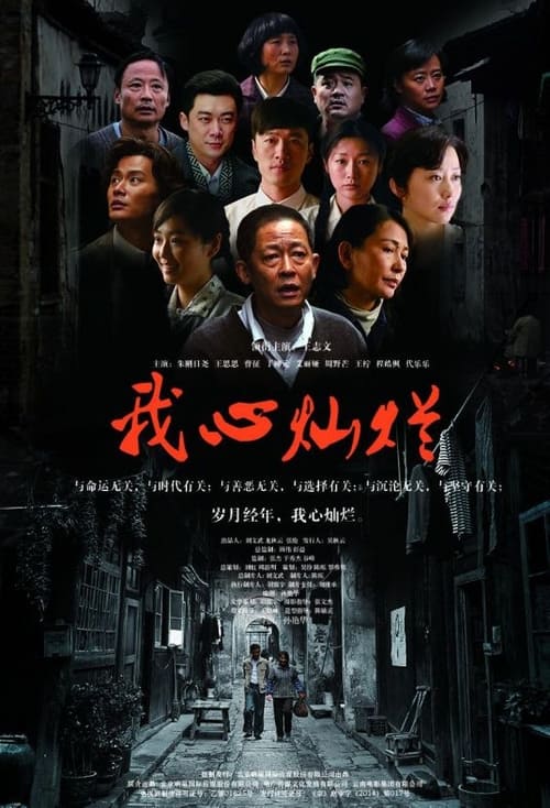 我心灿烂 (2014)